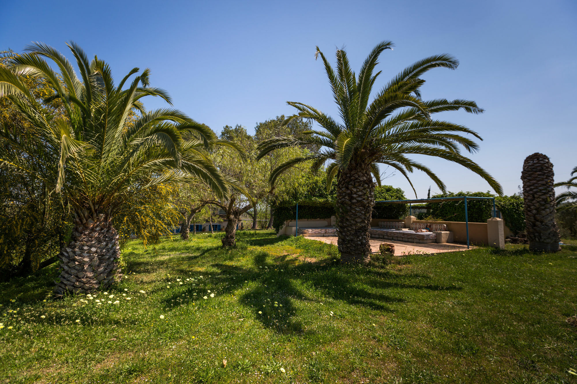 Finca Son Miranda - La Organic Sencelles Buitenkant foto