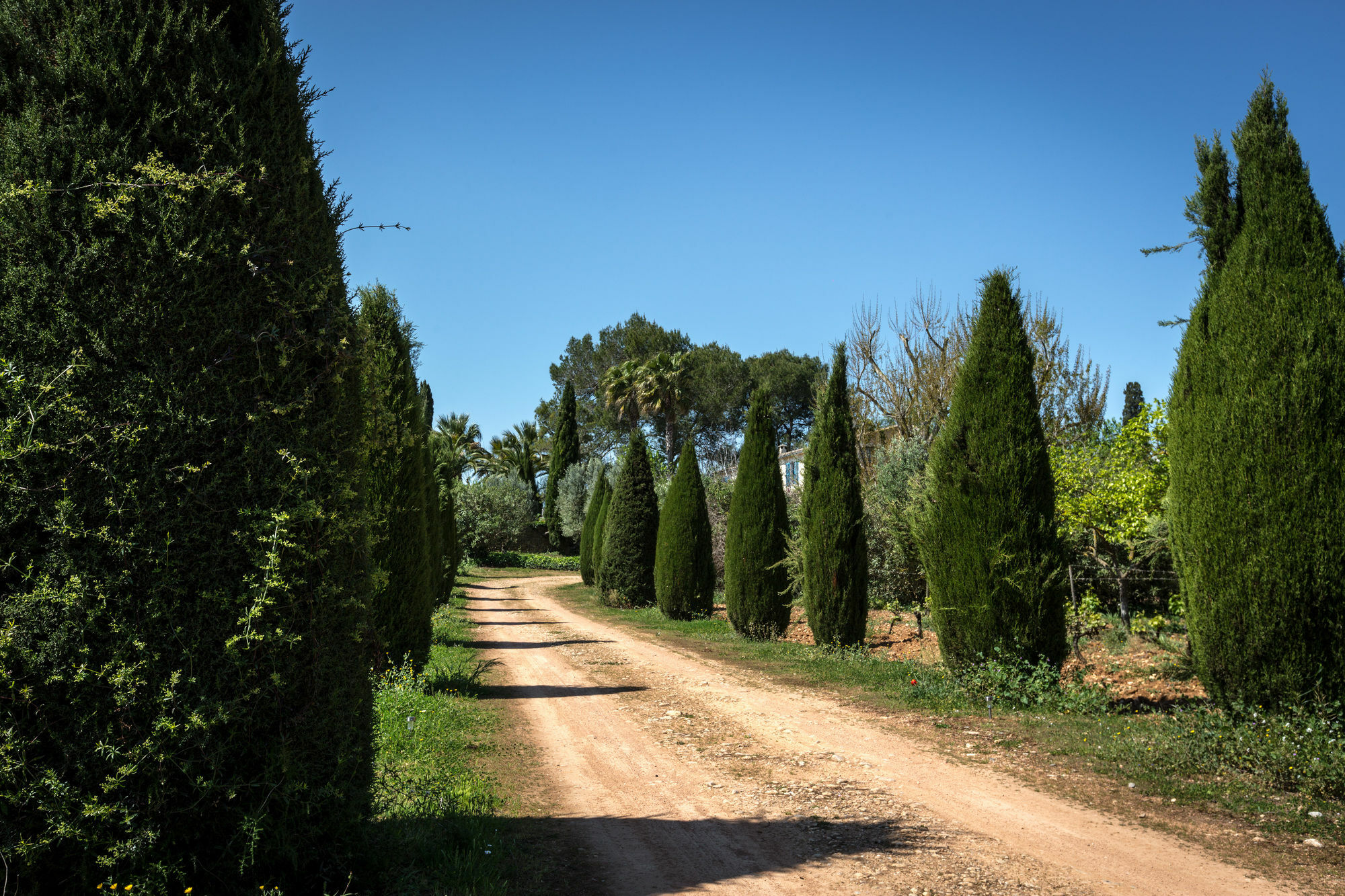 Finca Son Miranda - La Organic Sencelles Buitenkant foto