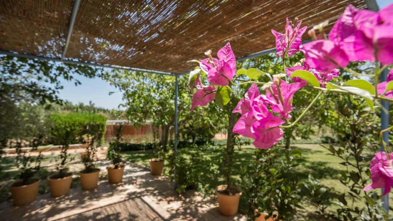 Finca Son Miranda - La Organic Sencelles Buitenkant foto