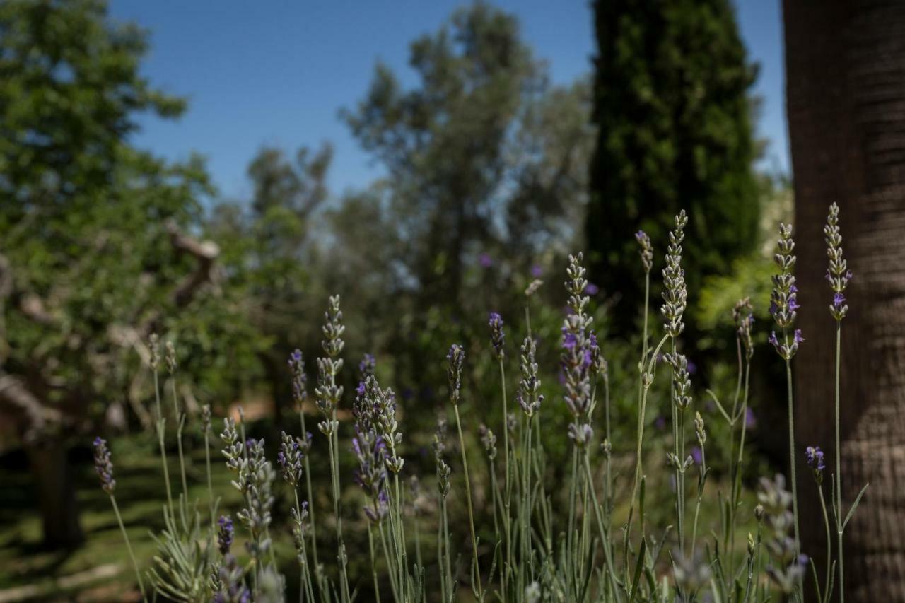 Finca Son Miranda - La Organic Sencelles Buitenkant foto
